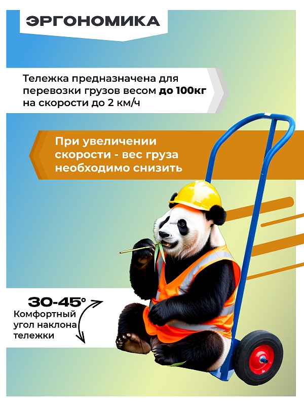 /upload/resize_cache/iblock/390/800_800_0/gcnpmh6ma71jniv2c5i7r5jsnmczq5n8.jpg