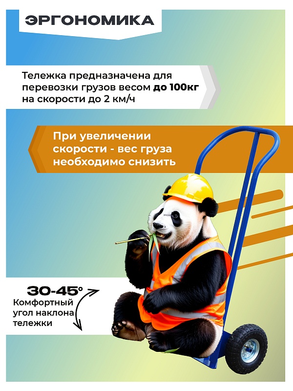 /upload/resize_cache/iblock/ce9/800_800_0/kehn3cssixaw0l7vm96xy39dryerwah2.jpg